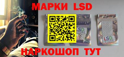 прущие грибы Брянск