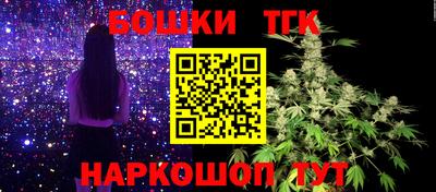 прущие грибы Брянск
