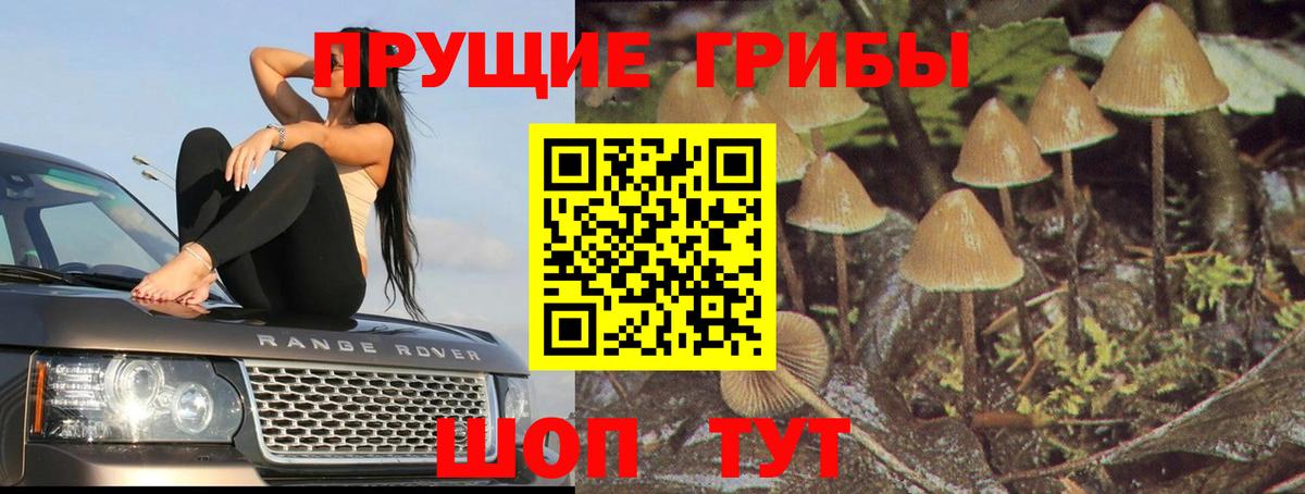 Псилоцибиновые грибы ЛСД  Вход с VPN  Комсомольск-на-Амуре 